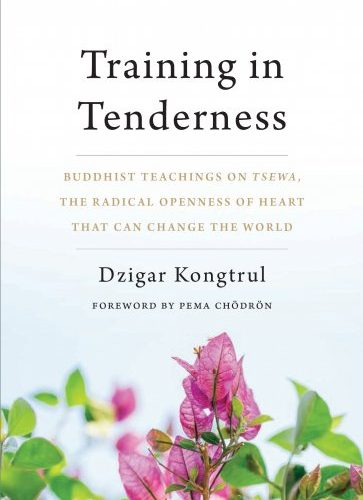 Training in Tenderness / Dzigar Kongtrul