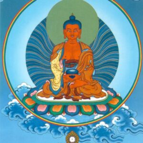 Amitabha 1 postcard / Andy Weber